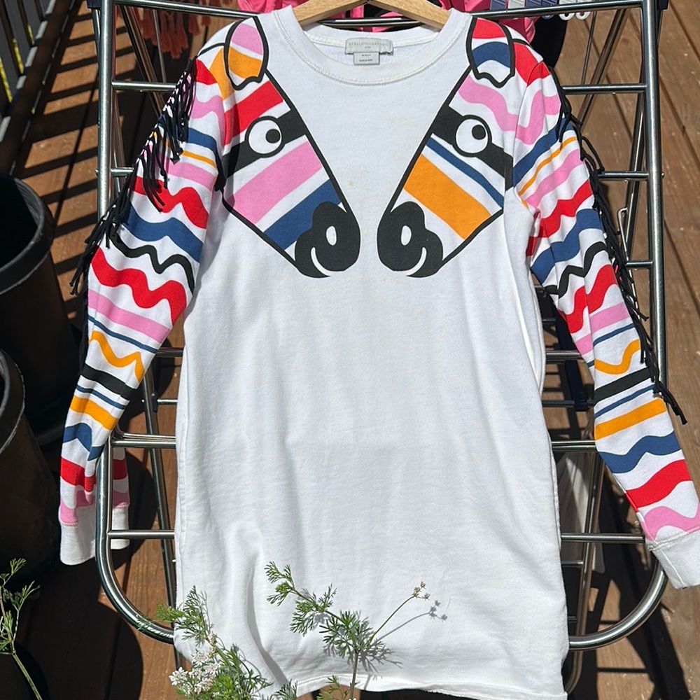 Stella McCartney Kids Dress with Colorful Zebra Design